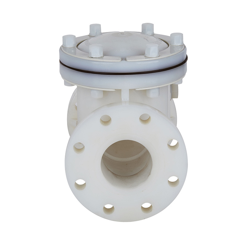 PVDF H44F-10F Swing Type Zpětný ventil DN15-300 1/2'-12' ANSI Standard