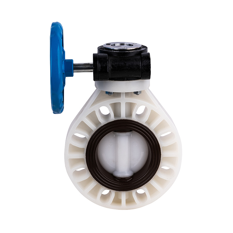 PVDF D371X-10F Worm-Gear Butterfly Valve DN40-1000 1-1/2'-30' ANSI Standard